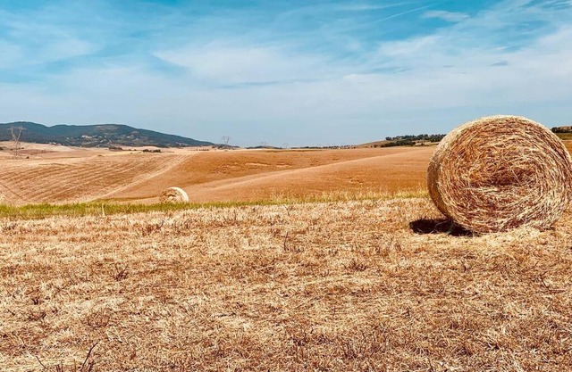 Vacanze sulle colline Toscane ad un passo dal mare