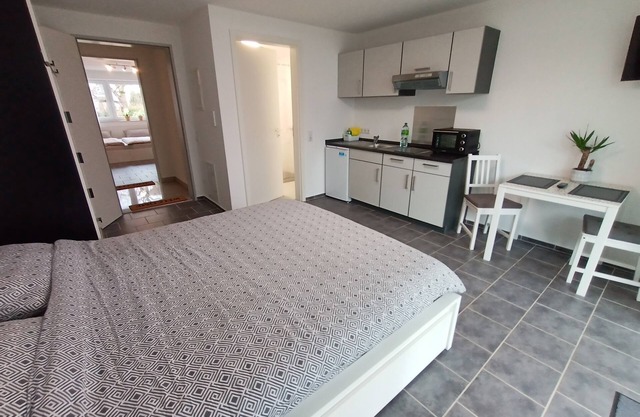 Vacation apartment/apartment for 3 guests with 25m² in Friedrichshafen (165008)