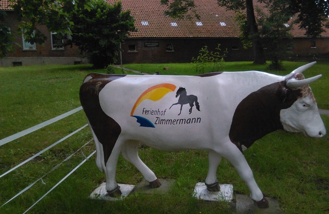 Vacation farm with ponies