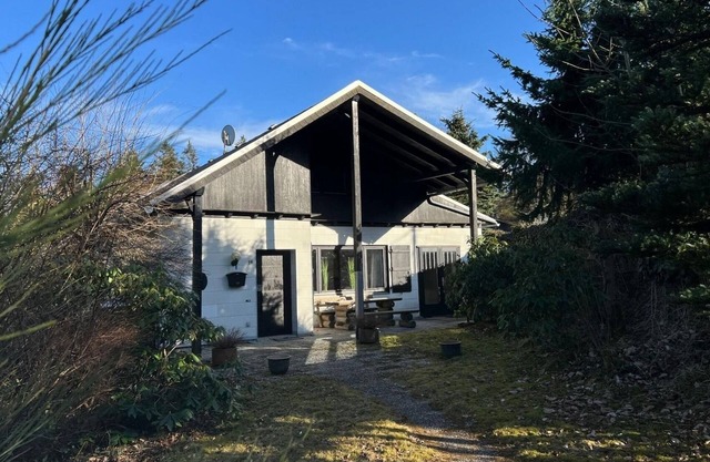 Vacation home for 11 guests with 85m² in Willingen (273222)