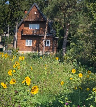 Vacationhome in the vineyards