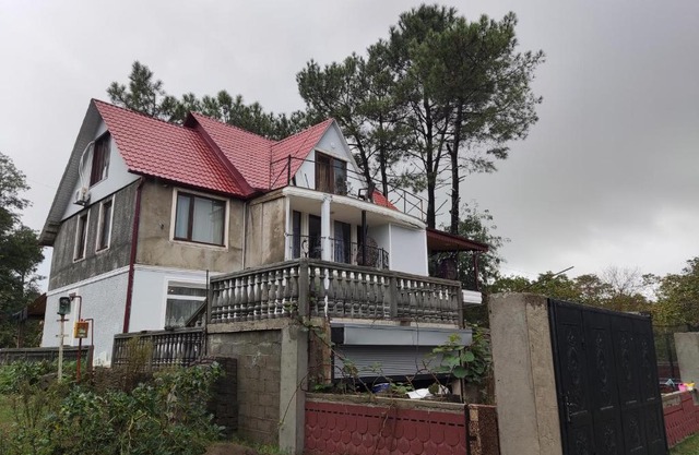 Valdi Guest Shekvetili