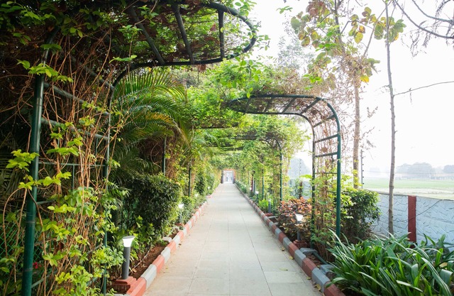 Vanam Resort
