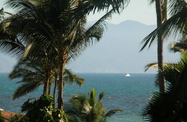 VELAS VALLARTA LUXURY CONDO