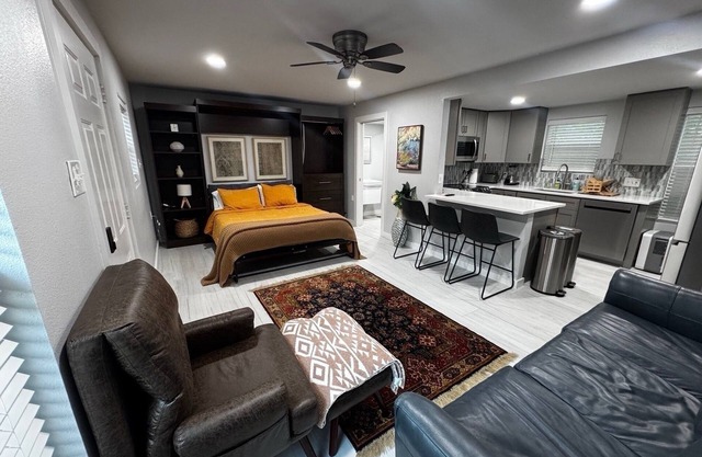 Vibrant Upgraded & Central Guesthouse in Hyde Park