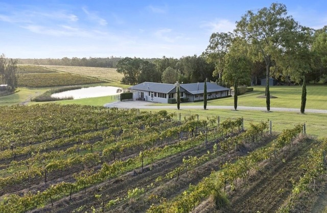 Vico Monti - Homestead amongst the vines