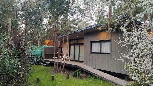 Vida en el bosque