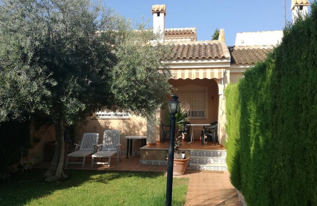 View of the sea and the private garden with palm trees and an olive tree.