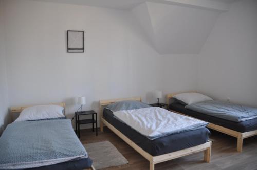 Villa Amarotico byt 3 Plesná