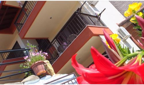 Villa Athina Gia