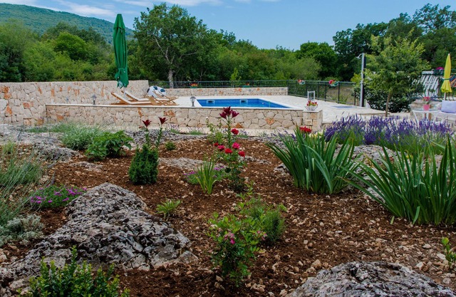 Villa in Dalmatia with the swimmingpool