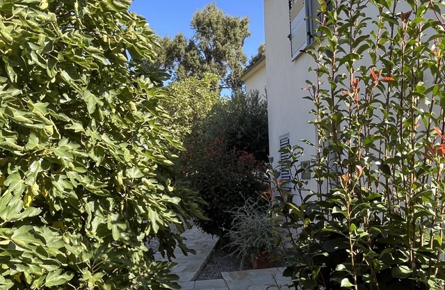 Villa in the heart of Erbalunga perfect for your holidays!