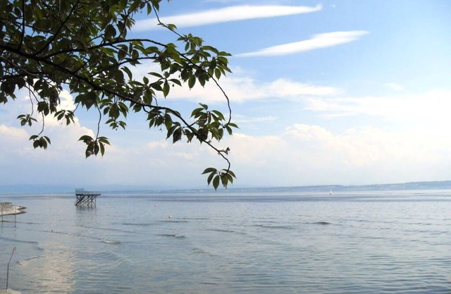 Villa Lake Constance view