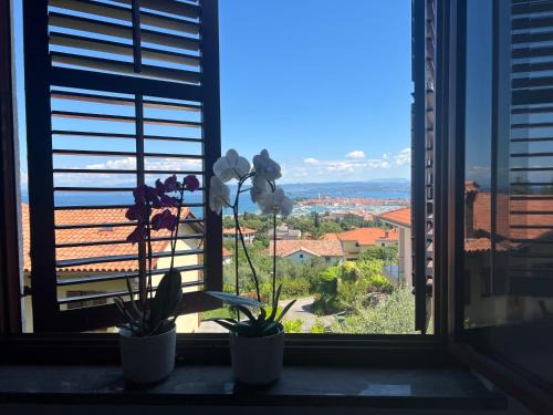 Villa Maris Izola