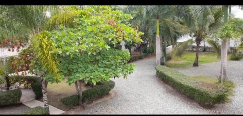 Villa monte Cristo