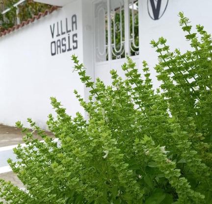 Villa Oasis