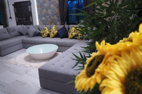 Villa Omloft