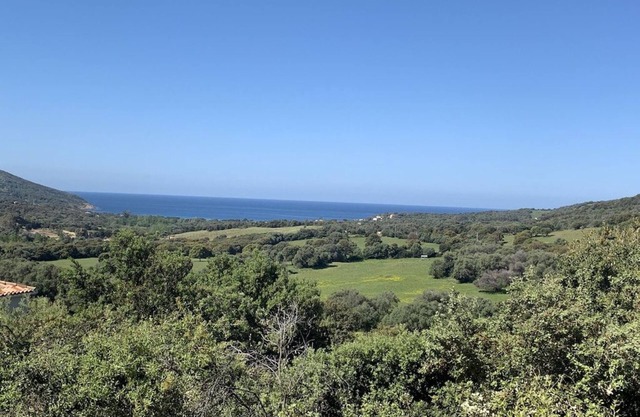 Villa with pool, between olive trees and sea - fantastic view!