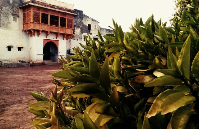Village Castle stay amidst Desert