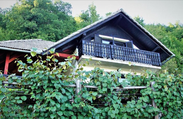 Vineyard Cottage Zajc