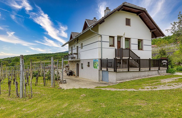 Vineyard Homestead Vrtin, Dragatuš, Slovenia