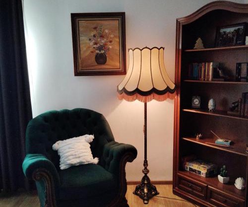 Vintage Central Apartament