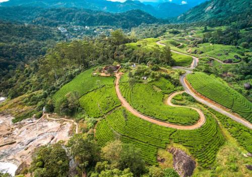 Viriparai Tea Bungalow Munnar by VOYE HOMES