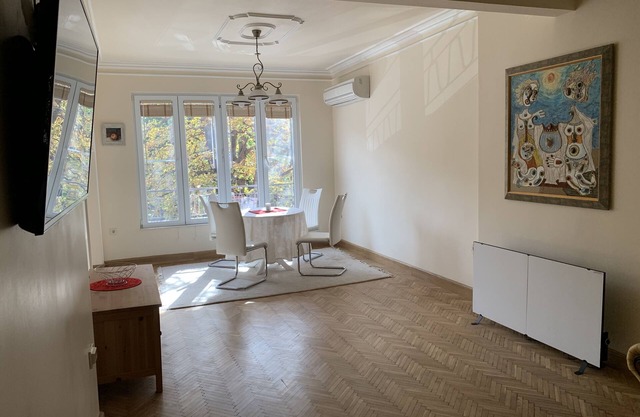 Vitoshka apartment