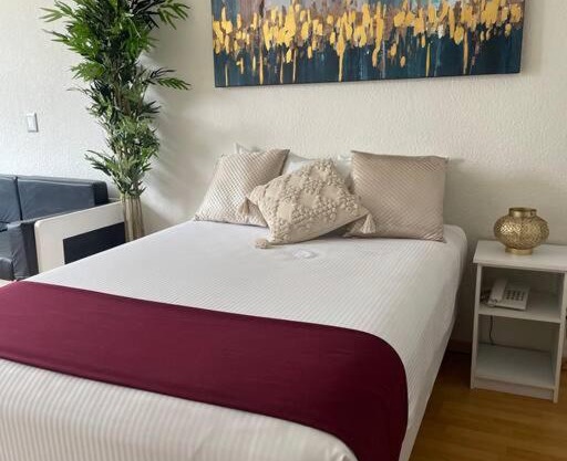 vive en la condesa cozy loft