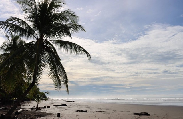 ¡vive la Serenidad del Mar! Playa, Piscina, Vida Salvaje y Surf