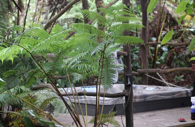 Volcano Rainforest Retreat with a Hot Tub