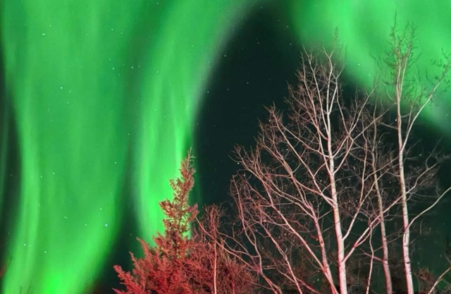 Watch the northern lights from the deck and the jacuzzi! Roast by a cozy fire!