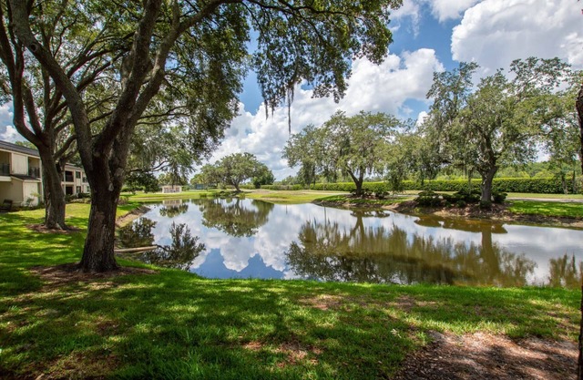 Waterfront Studio w/2 Queen Beds, Patio & Smart TV – Cozy & Convenient for a Relaxing Getaway!