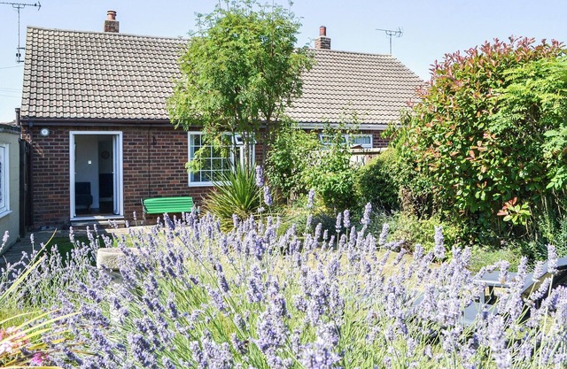We just love the garden.