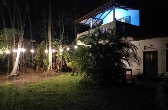 Wee amazonia en la Selva Tropical y Playa!