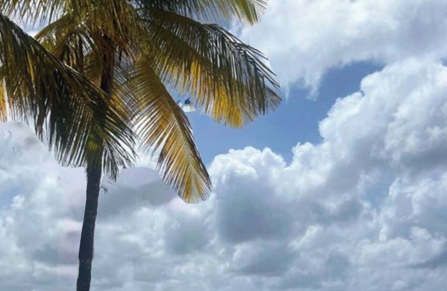 WELCOME TO ST CROIX….Ocean view cottage by the sea