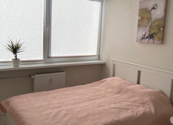 White Studio Taikos pr. 20 Klaipėda