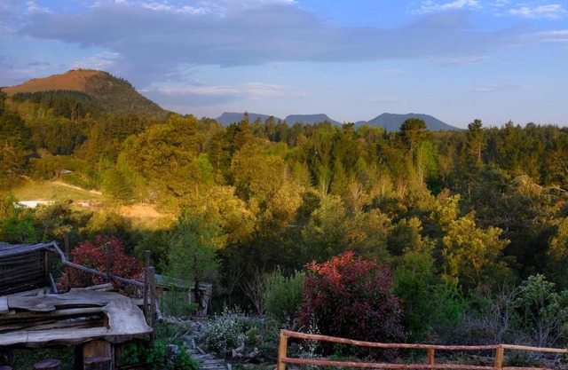 Wild Fox Hill