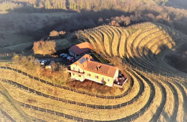 Wine Estate on a Private Hill - Luxury with character for 15+