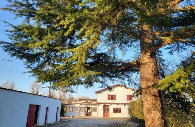 WonderBar (Auberge du Trinquet)