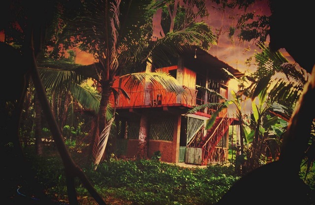 Wooden Paracosm & Resort
