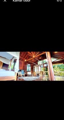 Wooden studio gem
