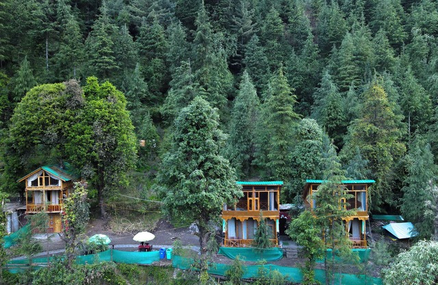 WOW Treehouse & Cottages