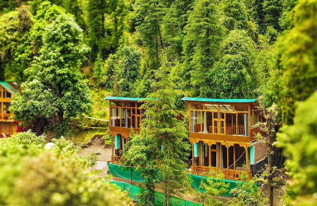 WOW WOODEN DUPLEX COTTAGE- SATYA KUTIR