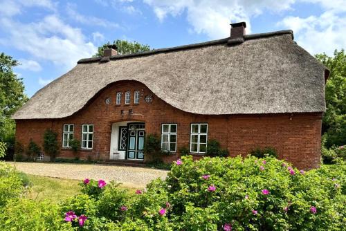 Wunderschönes großes Reetdachhaus zwischen Selenter See und Ostsee