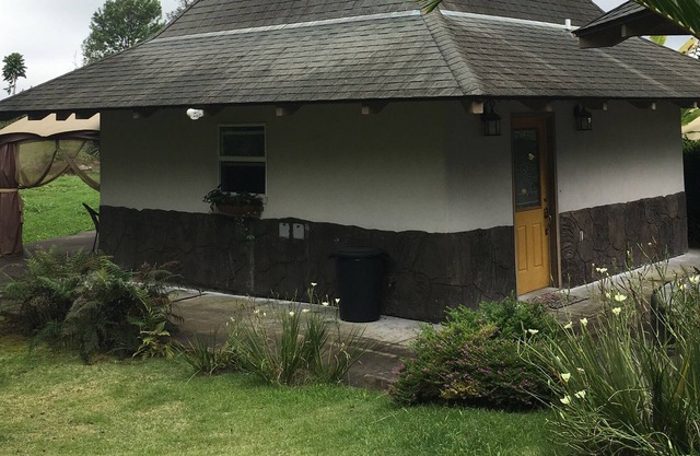 YELLOW Artists' Cottage TA-038-749-9520-01