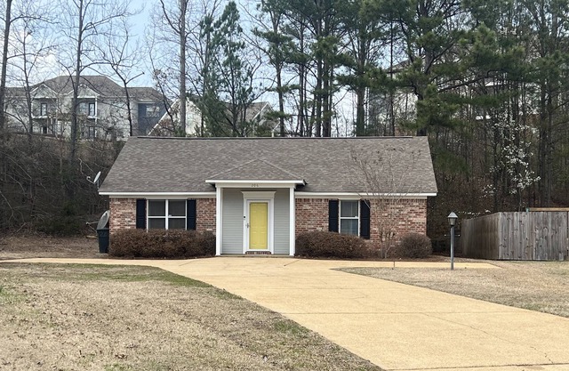 Yellow Door: Cozy home 1 mile from Campus