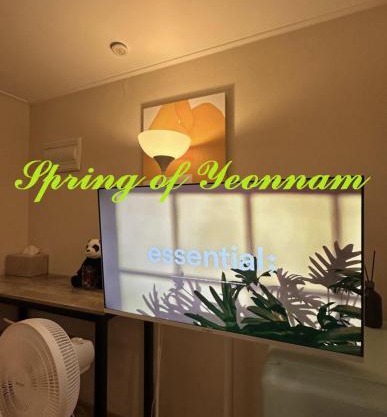 Yeonanm Spring
