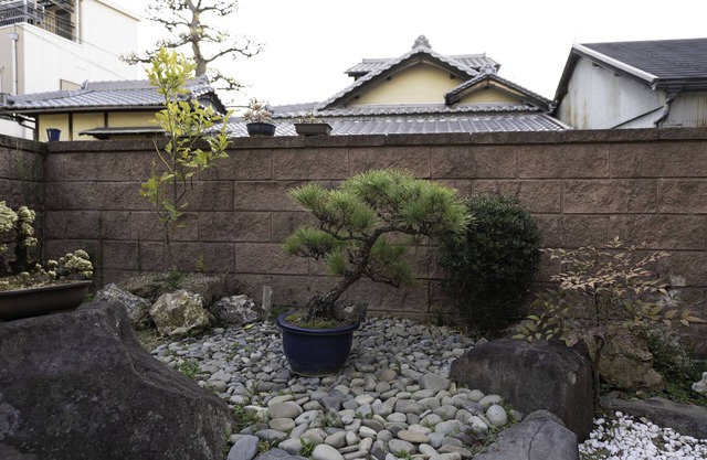 You can stay in an old Japanese house. Tatami mats, shoji screens, sliding doors, and ranma (transoms) of traditional culture are also available for a calm and relaxing stay.