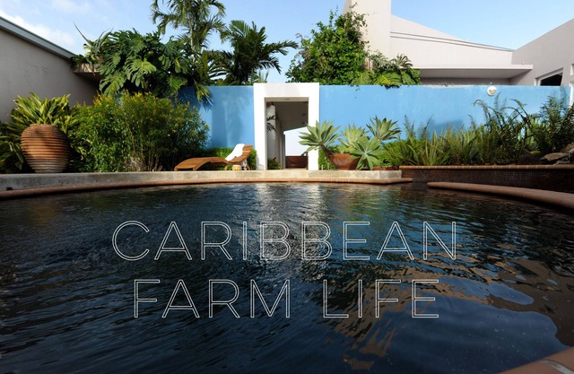 Your home away from home on the Farm, 4 Casitas Bed n Breakfast - Casita 1